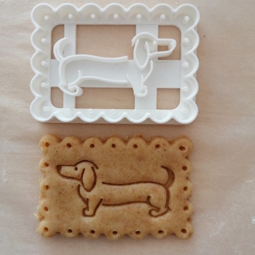 Dachshund (in frame)