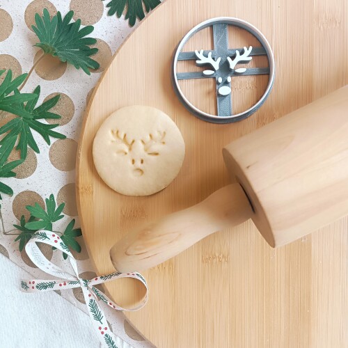 Reindeer portrait 2025