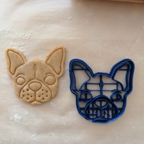 French bulldog